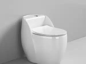 BỒN CẦU TRỨNG VIỀN  6645