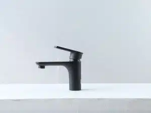 Vòi lavabo V 002A LUX [20cm]