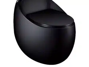 Bồn cầu nhập khẩu LK 666BL