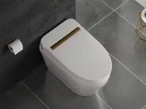 BỒN CẦU KHÔNG KÉT NƯỚC  6806
