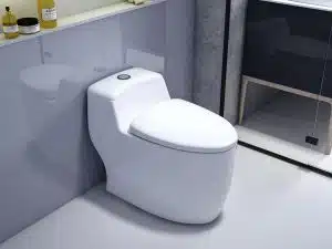 BỒN CẦU LIỀN KHỐI LK- 6633