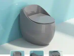 Bồn cầu trứng xám