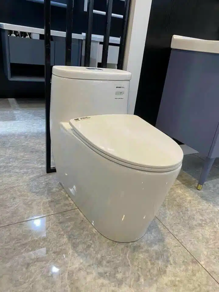 Bệt liền khối RC171