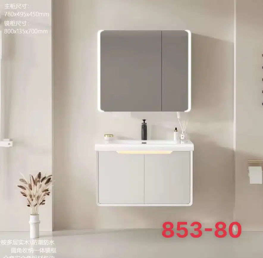 Tủ gương kt 80x50